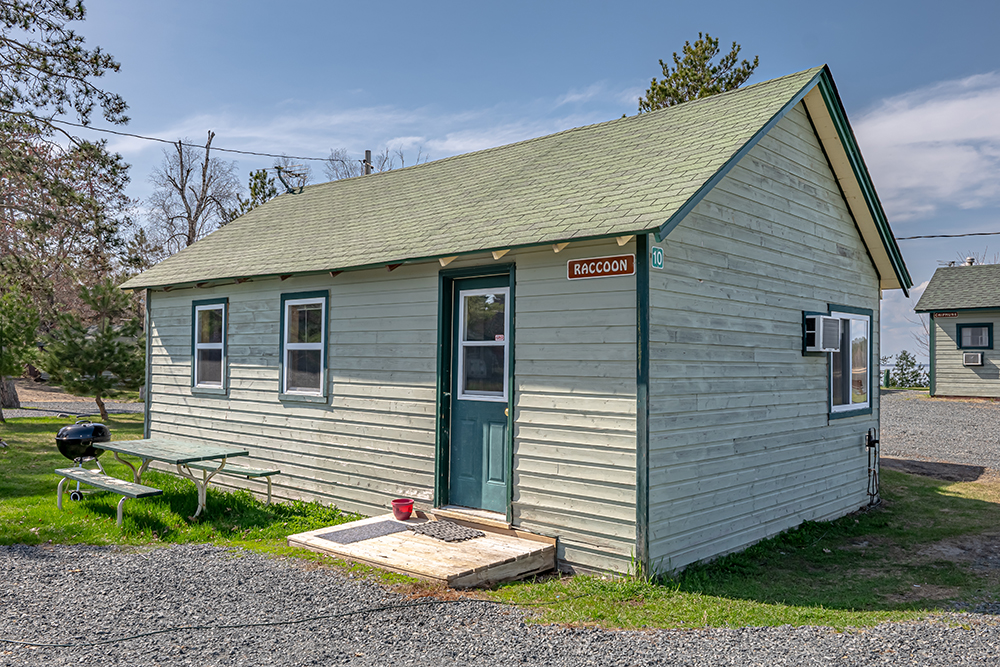 Raccoon Cabin Rental on Lake Winnie